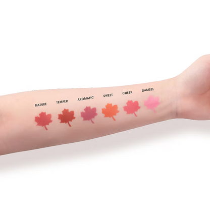 IMAGIC PROfessional Cosmetic Touch Blush Palette 6 Color