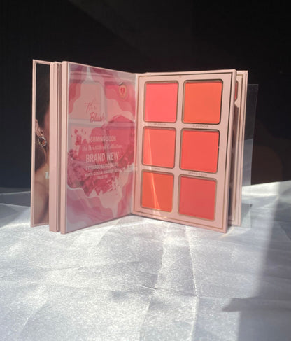 IGOODCO VIRAL MAKEUP BOOK - 5 PAGE